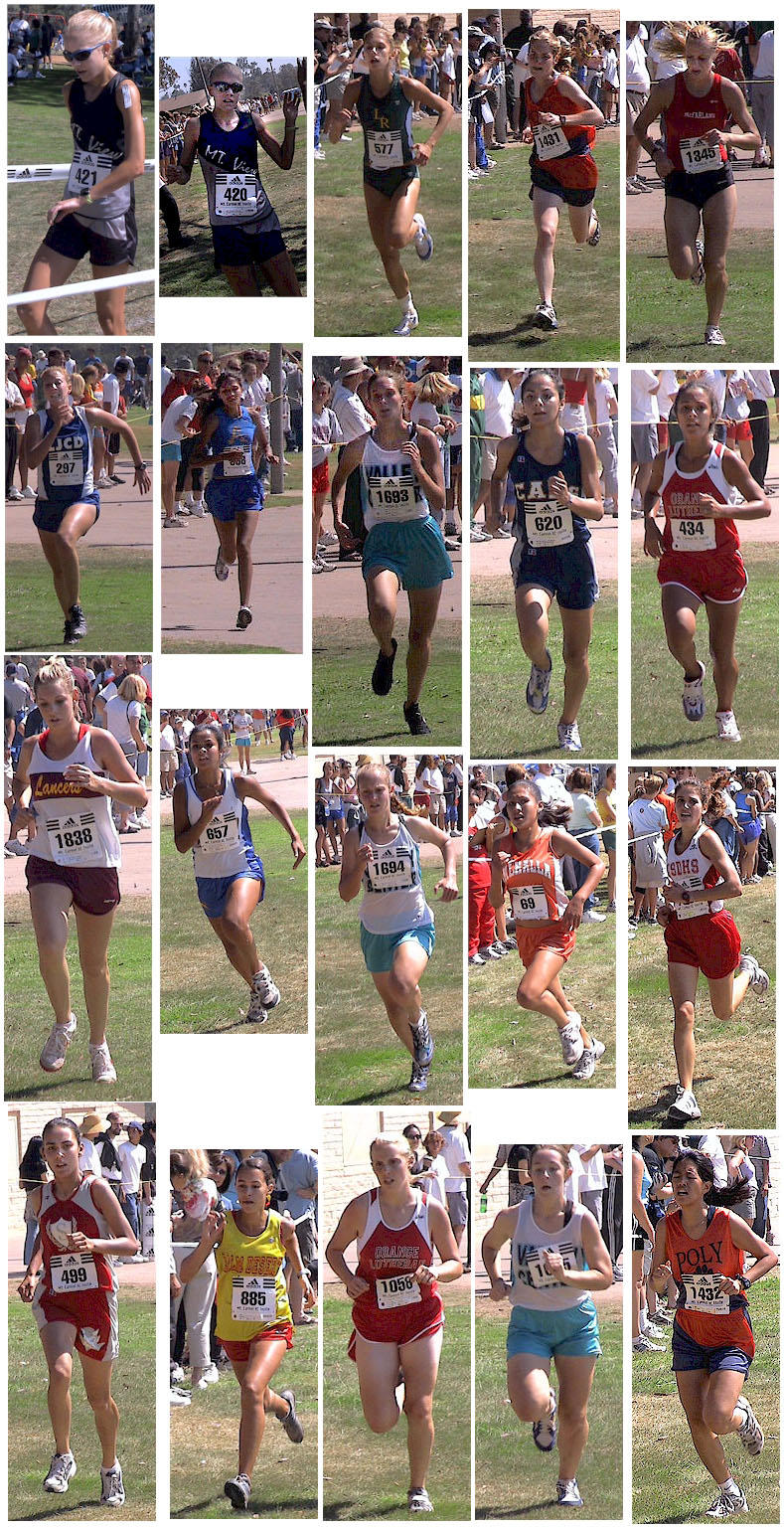 D2SrGirlsComposite-1.jpg (392398 bytes)