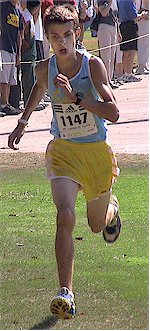 Winner_SophBoy_D2.jpg (23202 bytes)