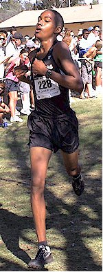 Winner_SrBoy_D1.jpg (29885 bytes)